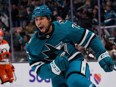 Ryan Reaves, útočník San Jose Sharks