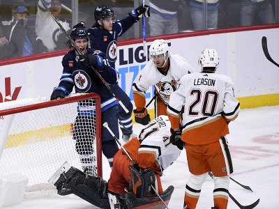 Hokejisti Winnipegu oslavujú gól v sieti Ducks