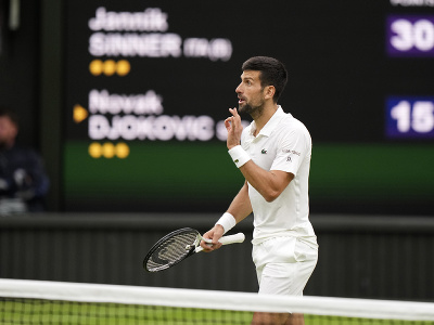 Novak Djokovič diskutuje z rozhodcom v semifinále Wimbledonu 2023