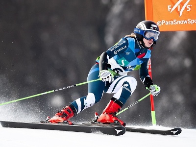 Slovenská reprezentantka v paraalpskom