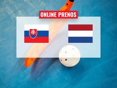 Slovensko – Holandsko: Online