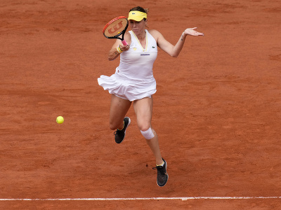 Anastasia Pavľučenkovová vo finále Roland Garros 