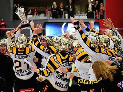 Hráči Skelleftea AIK sa