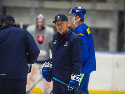 Na snímke tréner hokejovej reprezentácie SR Craig Ramsay počas tréningu na zraze reprezentácie pred majstrovstvami sveta 2024 v hokeji v Ostrave a v Prahe