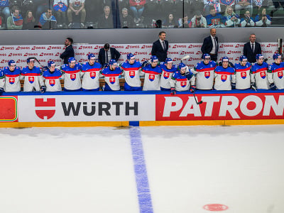 slovenskí hokejisti stoja na