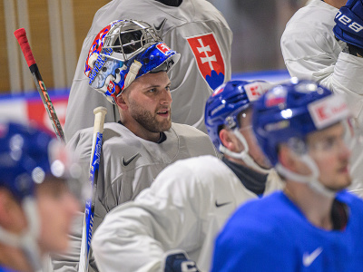 Na snímke brankár Samuel