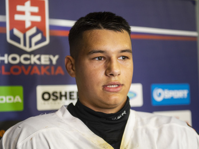 Na snímke slovenský hokejový