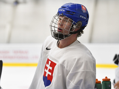 Slovenská hokejová reprezentácia do 20 rokov v Poprade počas prípravy na augustové IIHF majstrovstvá sveta U20. Na snímke Maxim Štrbák.