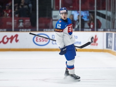 Slovenský hokejista Peter Cisár