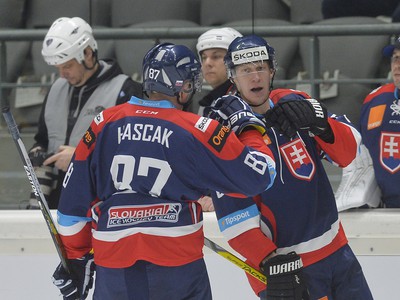 Na snímke vpravo Michal Čajkovský a vľavo Marcel Haščák (Slovensko) oslavujú gól Slovenska