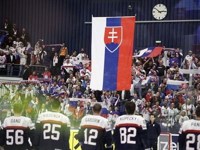 Slováci po zápase s Dánskom