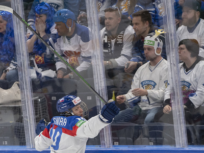 Na snímke slovenský hokejista Adam Sýkora sa teší po strelení úvodného gólu