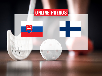Slovensko - Fínsko