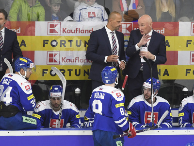 Tréner slovenskej hokejovej reprezentácie  Craig Ramsay (hore vpravo) a jeho asistent Ján Pardavý diskutujú na striedačke