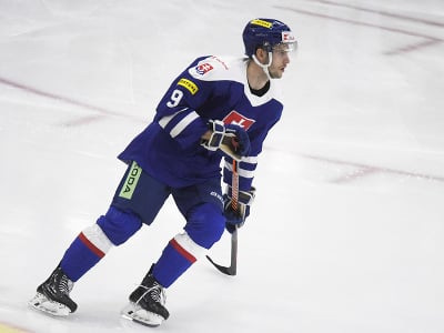 Rayen Petrovický, ktorý v prípravnom súboji so Švajčiarskom debutoval v slovenskej hokejovej reprezentácii 