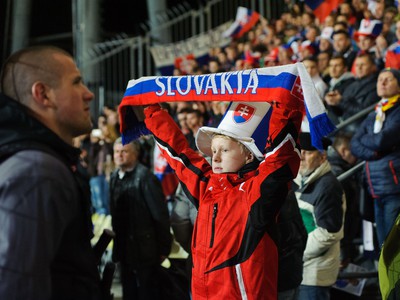 Mladý fanúšik Slovenska