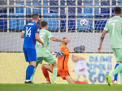 Na snímke brankár Marek Rodák (Slovensko) inkasuje gól proti Bielorusku
