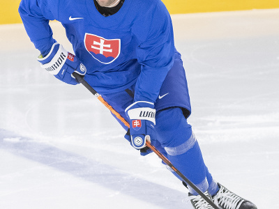 Na snímke slovenský hokejista Andrej Kudrna