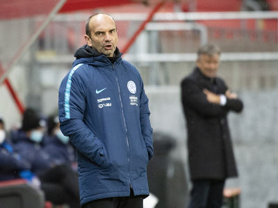Na snímke tréner Slovenska