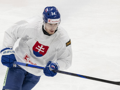 Slovenský hokejový reprezentant Peter