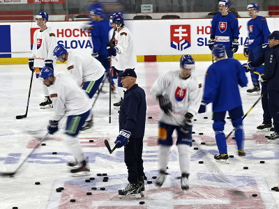 Uprostred hlavný tréner slovenskej hokejovej reprezentácie Craig Ramsay sleduje tréning na ľade