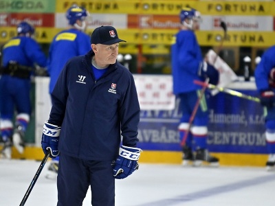 Tréner slovenskej hokejovej reprezentácie Craig Ramsey