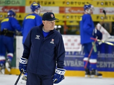 Tréner slovenskej hokejovej reprezentácie Craig Ramsay