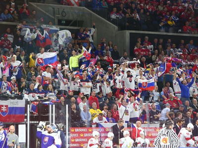 Slovenskí fanúšikovia počas zápasu so Švajčiarskom