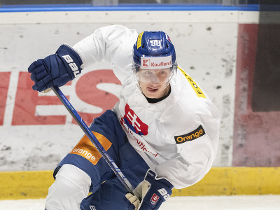 Slovenský hokejový reprezentant Andrej Golian počas tréningu na reprezentačnom zraze v Bratislave