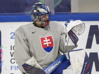 Slovenský reprezentant, brankár Matej