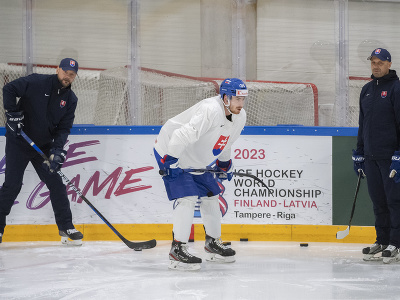 Uprostred slovenský hokejový reprezentant Peter Cehlárik počas voľného tréningu 