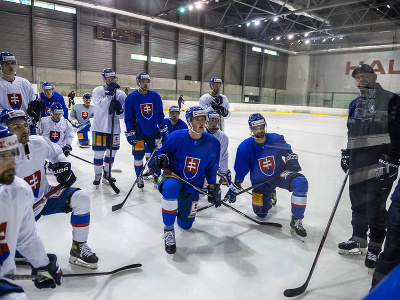 Slovenskí hokejisti počas tréningu slovenskej hokejovej reprezentácie pred MS vo Fínsku