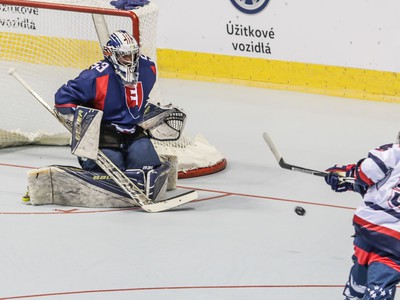 Na snímke zľava brankár Vladimír Neumann (Slovensko) a William Pascalli (USA) počas inline hokejového zápasu A-skupiny Slovensko - USA na Majstrovstvách sveta v in-line hokeji