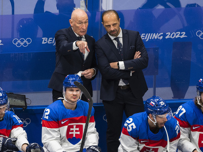 Tréner slovenskej hokejovej reprezentácie Craig Ramsay a asistent trénera Ján Pardavý