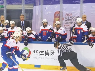 Lavička slovenskej ženskej hokejovej