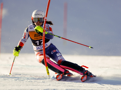 Zrinka Ljutić