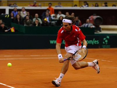 David Ferrer