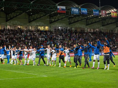 Hráči slovenska ďakujú fanúšikom po zápase roka so Španielskom