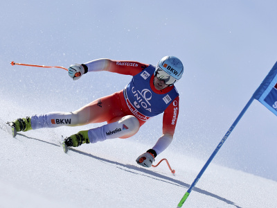Švajčiarsky lyžiar Stefan Rogentin