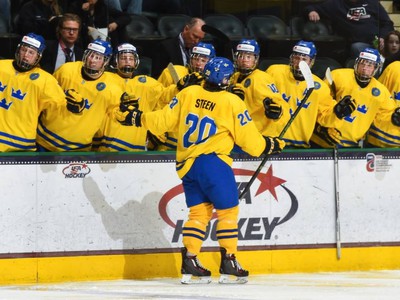 Mladí švédski hokejisti 