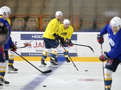 Hokejisti HC 19 Humenné počas tréningu na začiatku letnej prípravy pred novou sezónou Tipos extraligy