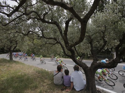 Peter Sagan pod olivovým stromom v piatej etape Tour de France. Zelený dres si udržal, no skončil tretí.