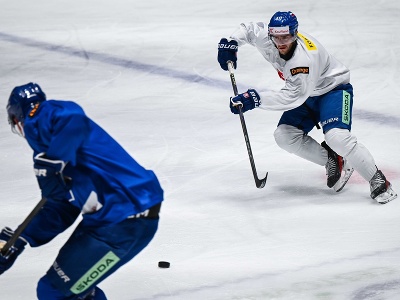 Slovenský hokejista Miloš Roman (vpravo) počas prípravného tréningu slovenskej hokejovej reprezentácie pred dvojzápasom so Švajčiarskom 