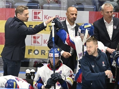 Vľavo hore tréner slovenskej