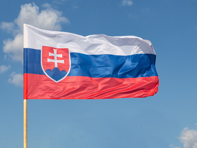 Slovenská vlajka - ilustračné foto