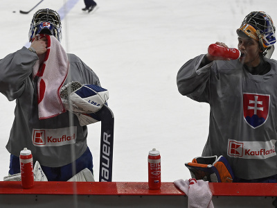 Na snímke brankárska dvojica sa občerstvuje na ľade počas zrazu slovenskej hokejovej reprezentácie v Trenčíne