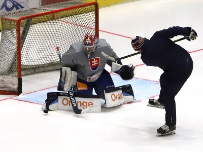 Tréning hráčov počas zrazu slovenskej hokejovej reprezentácie pred prípravným dvojzápasom s Nemeckom vo Zvolene