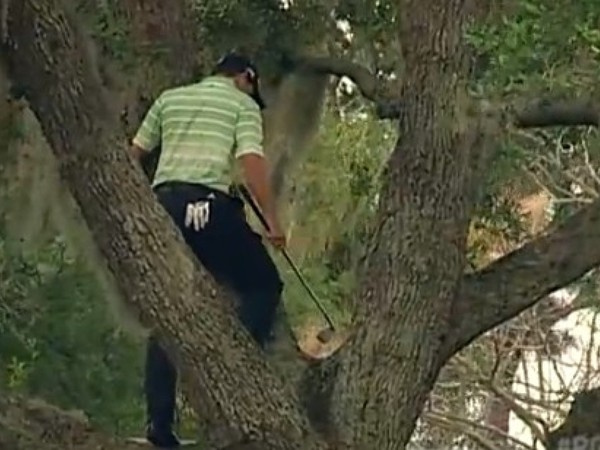 Sergio García pri údere na strome