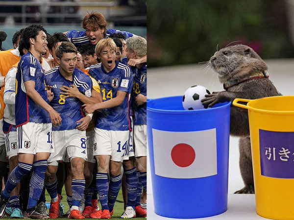 Japonskí futbalisti sa tešia z gólu a vydra tipuje výsledok zápasu