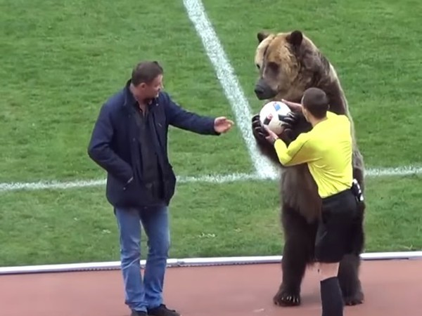 Medveď Tim podal pred zápasom loptu rozhodcovi